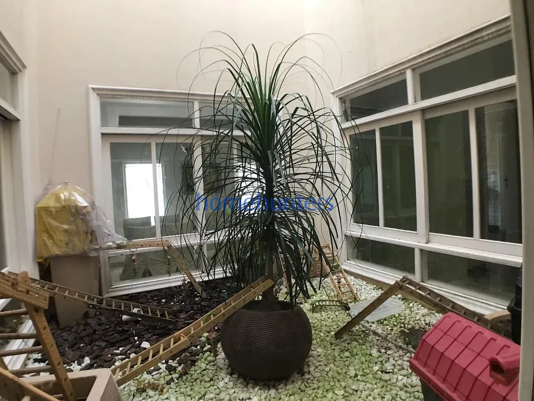 Casa, 4 quartos, 780 m² - Foto 20