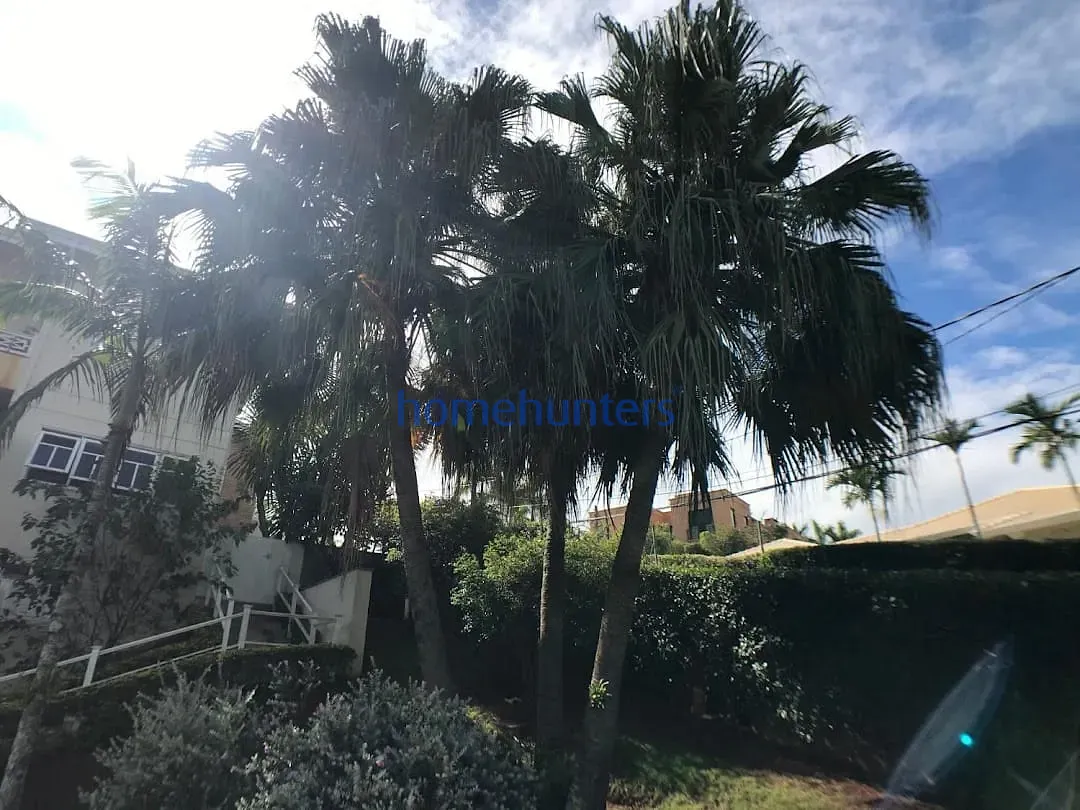 Casa, 4 quartos, 780 m² - Foto 7