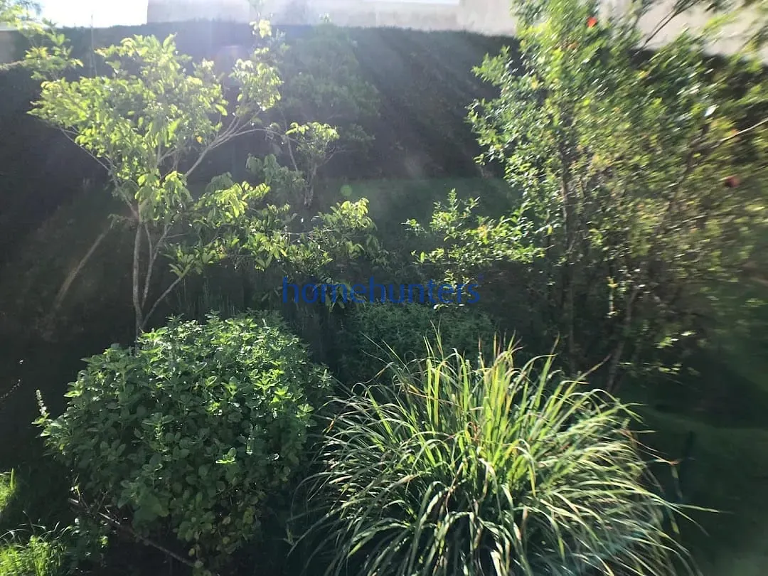 Casa, 4 quartos, 780 m² - Foto 40