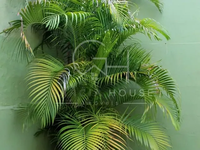 Casa com 270m² 3 quartos e 1 banheiro, à venda, no bairro Vila Monte Alegre em Ribeirão Preto