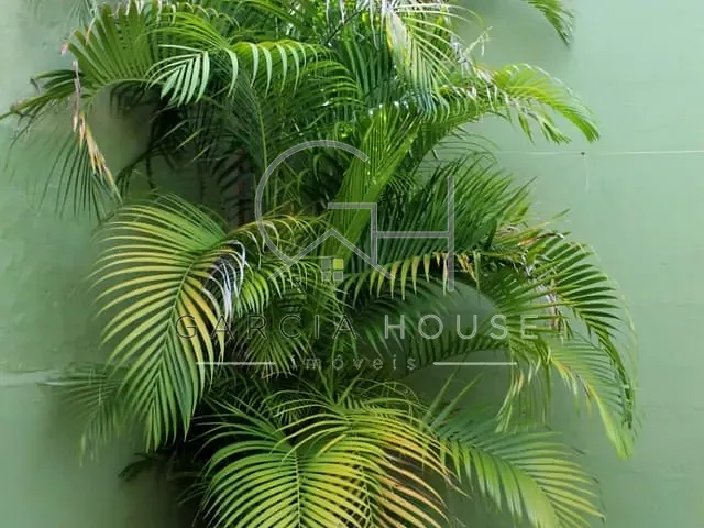 Casa com 270m² 3 quartos e 1 banheiro, à venda, no bairro Vila Monte Alegre em Ribeirão Preto
