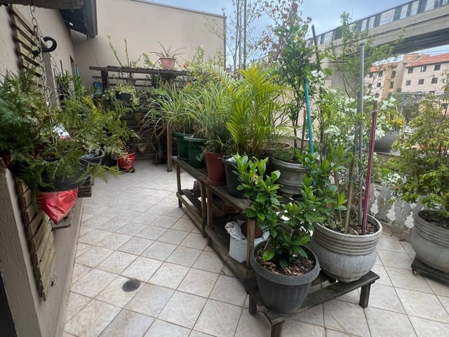 Foto do Casa - Casa para locação, Jardim Adutora, São Paulo, SP | Imobiliária Sapopemba