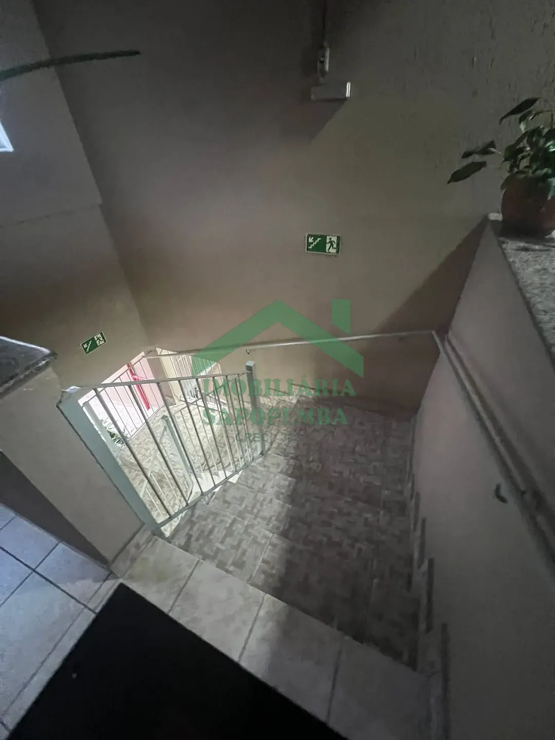 Casa, 4 quartos, 300 m² - Foto 12