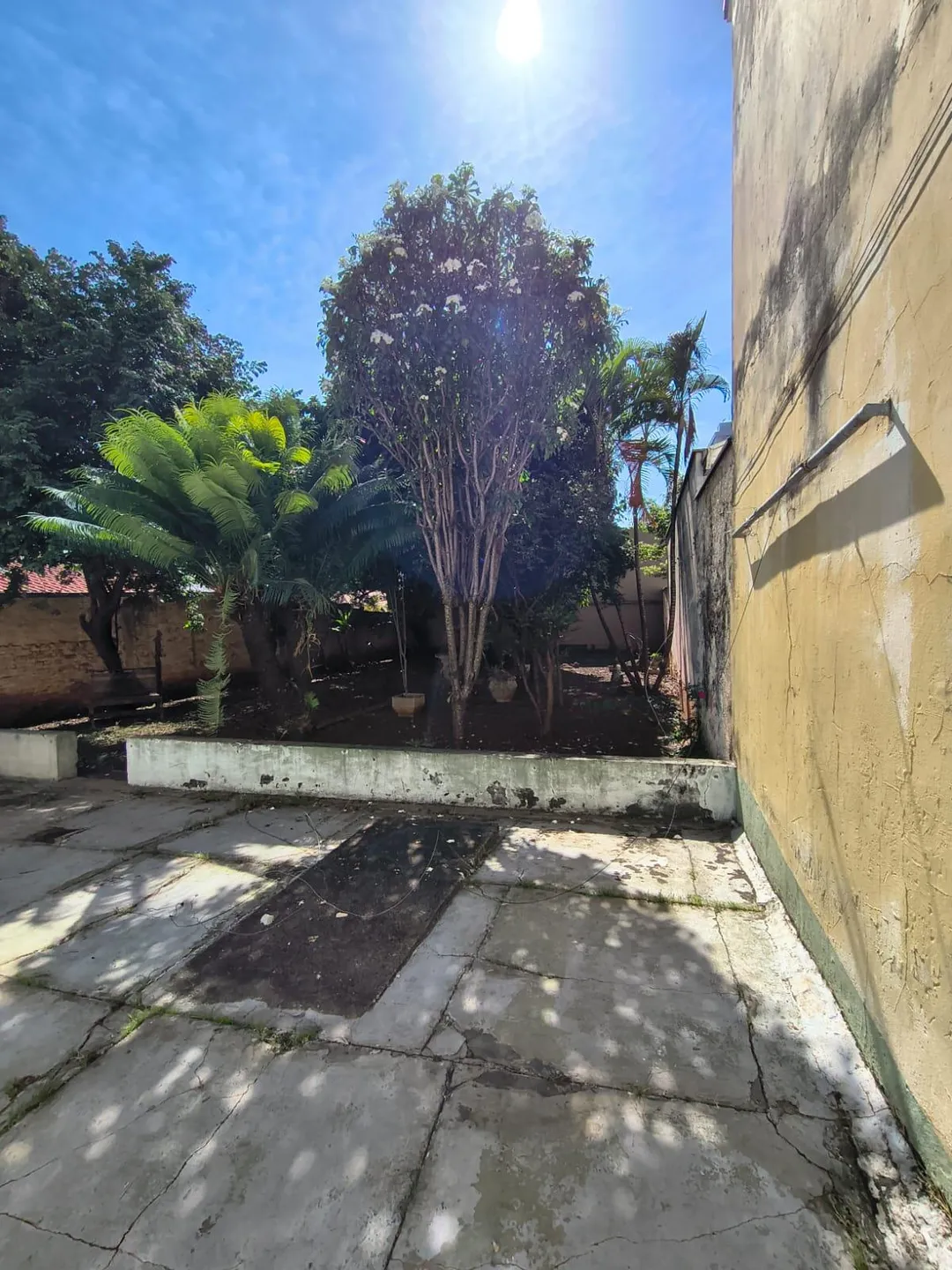 Casa, 1 quarto, 574 m² - Foto 25