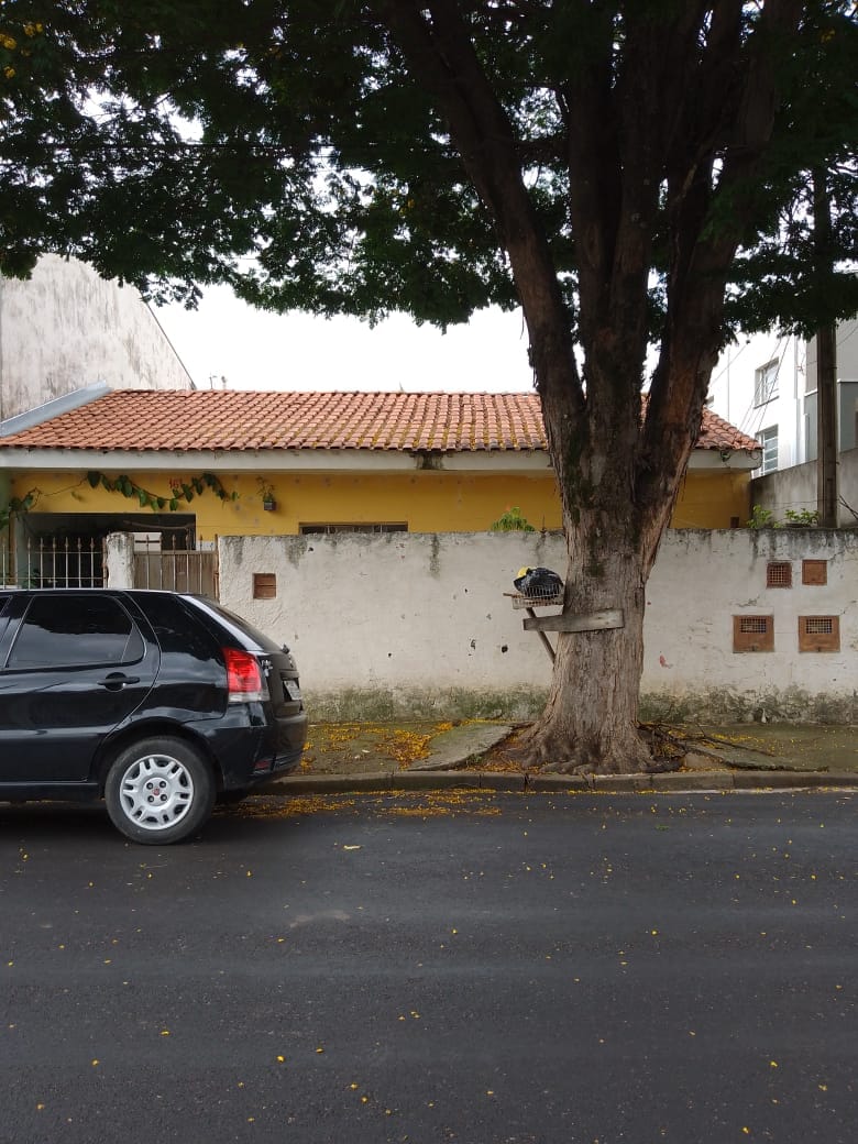 Casa à venda com 2 quartos, 342m² - Foto 7