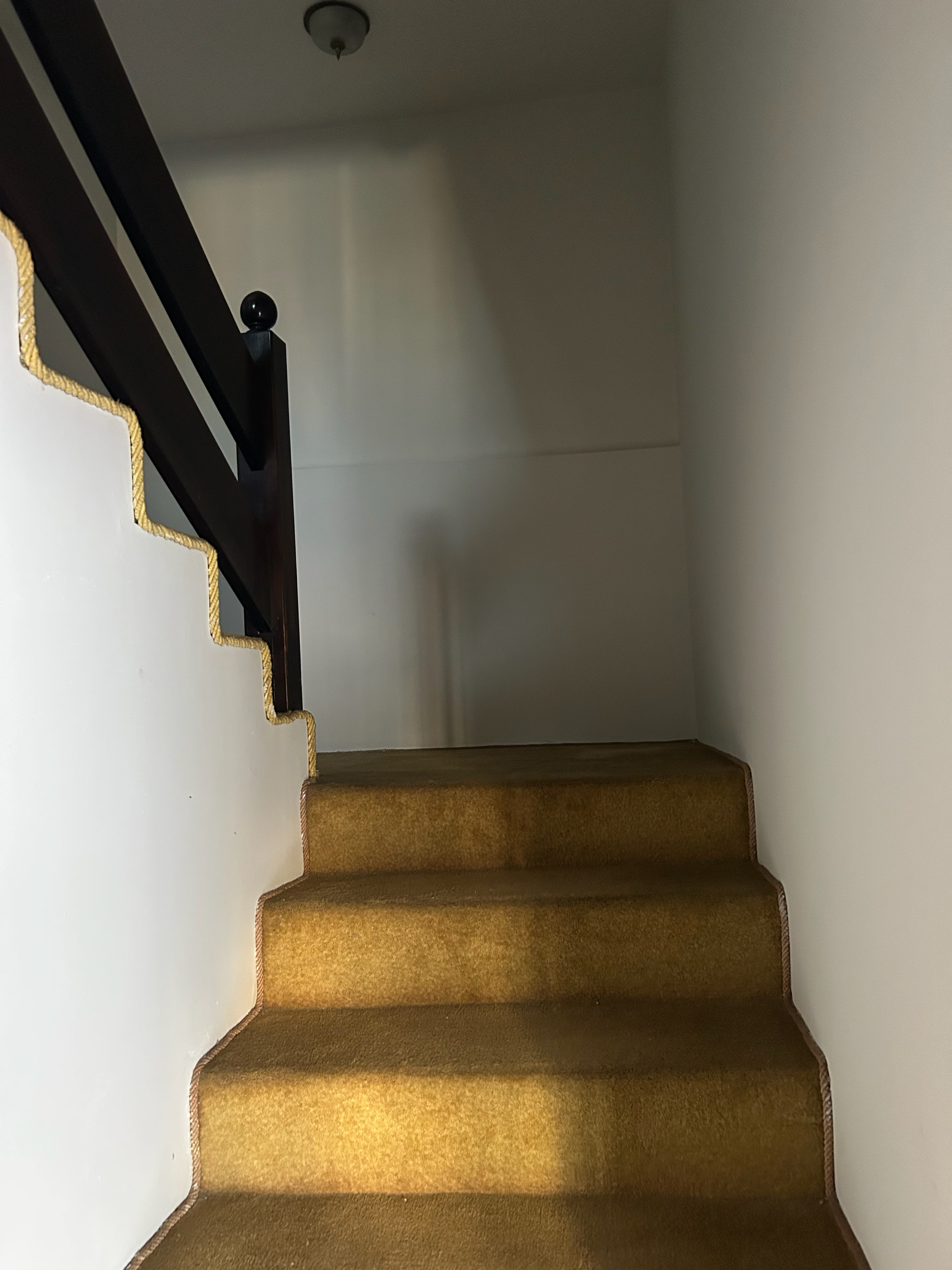 Casa, 1 quarto, 274 m² - Foto 3