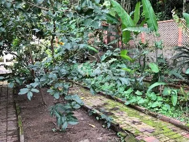 Casa com 4356m² 5 quartos e 7 banheiros, à venda, no bairro Centro em Paraíba do Sul