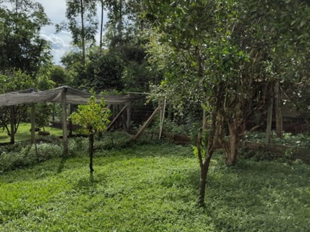 Foto do Casa - Casa com 02 dormitórios, cercada para venda e locação no bairro Bela Vista na cidade de Arroio do Meio/RS | Executivo Imóveis