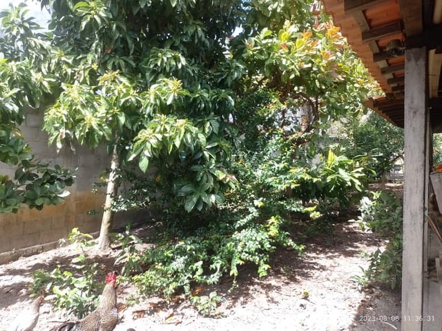 Foto do Casa - Casa à venda, Jóia do Atlântico, Ilhéus-BA | Torre Negócios imobiliários