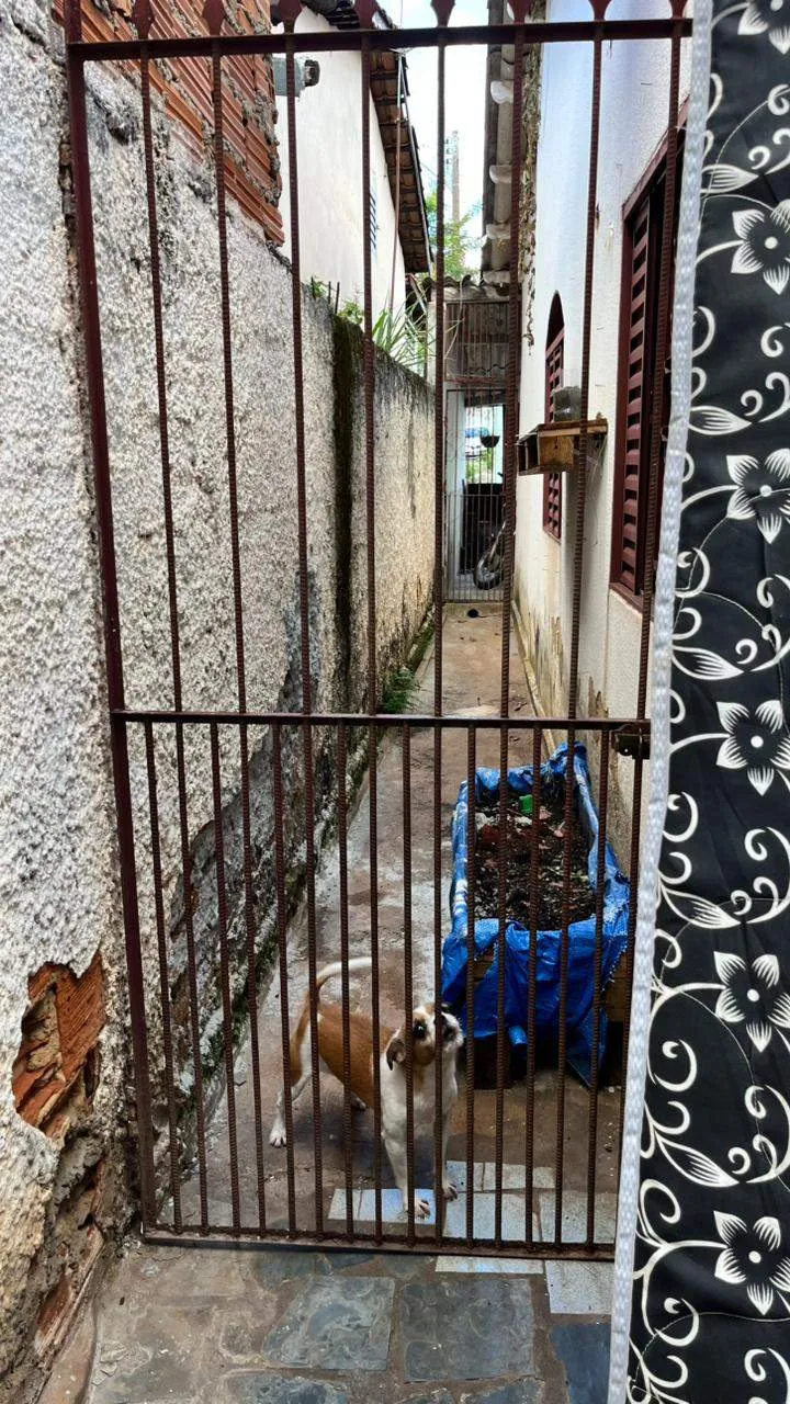 Casa, 3 quartos, 100 m² - Foto 15