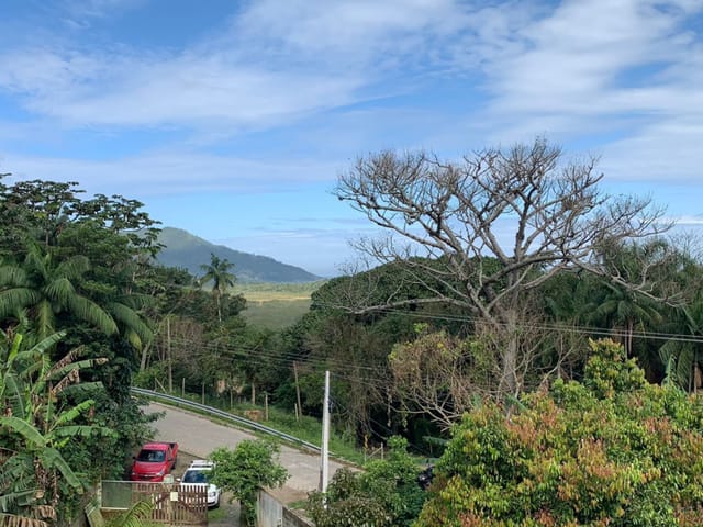 Foto do Casa - "🌿 Refúgio Natural com 5 Quartos e Ampla Área Verde no Pântano do Sul - Próximo às 🌊 Praias do Sul da Ilha! 🏡, Florianópolis, SC | Costão Sul Imóveis