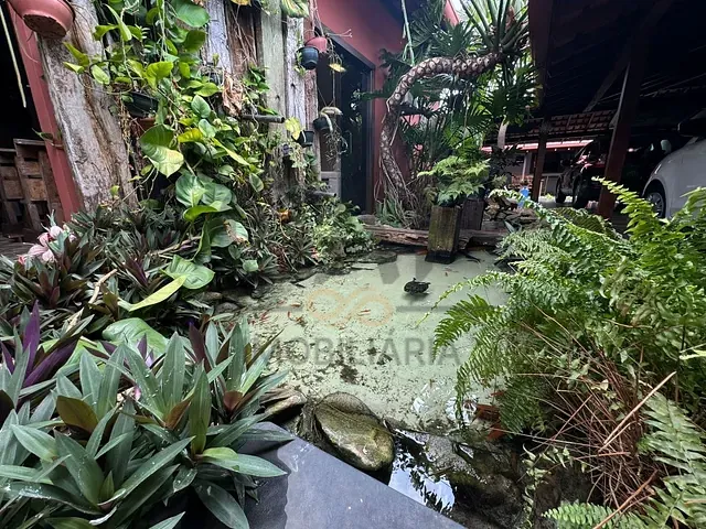 Casa com 400m² 4 quartos e 3 banheiros, à venda, no bairro Miguel Martini em Jaguariúna