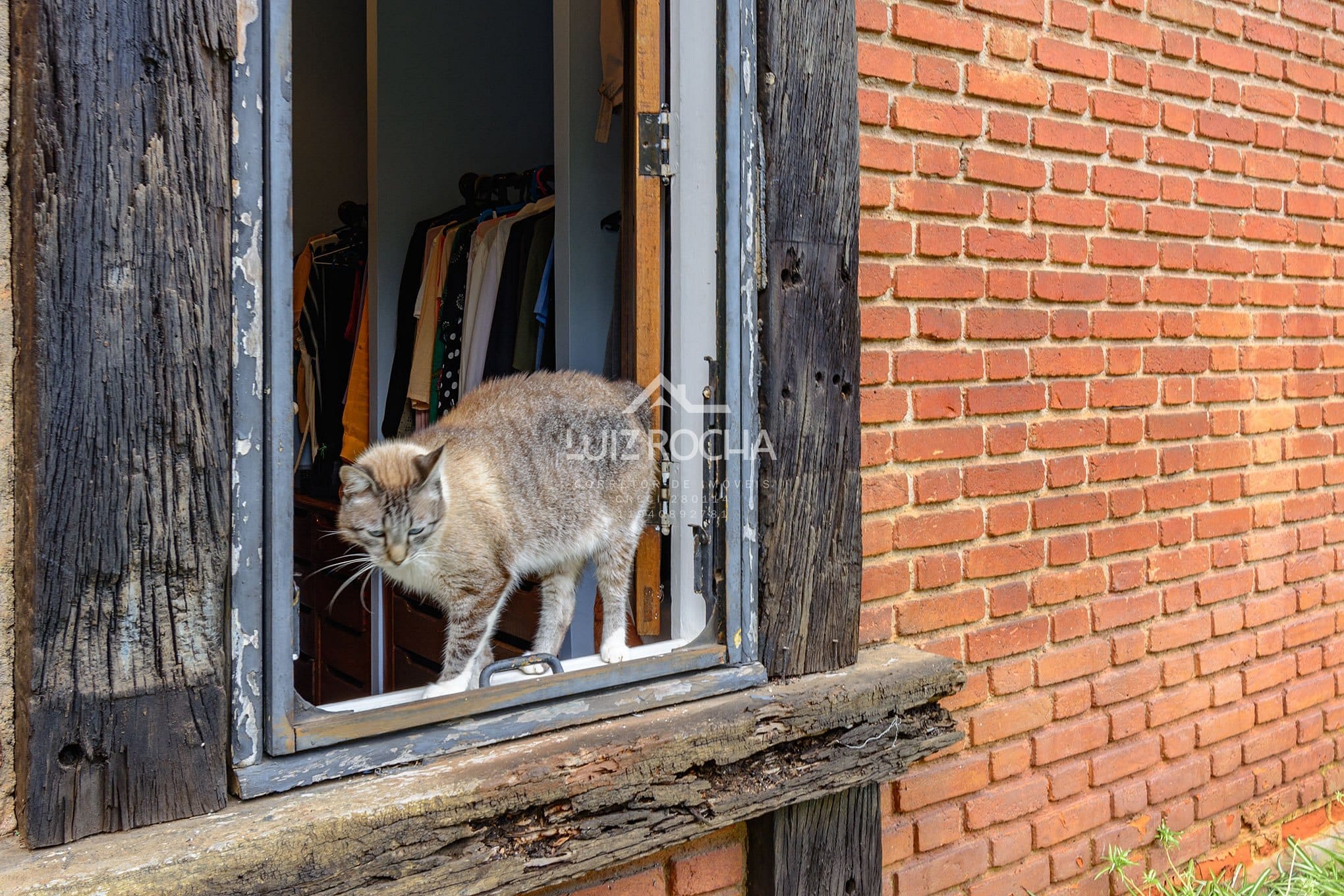 Casa, 4 quartos, 390 m² - Foto 75