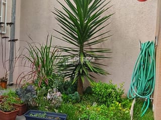 Foto do Casa-Casa à Venda, Chácara Alvorada, Poços de Caldas, MG