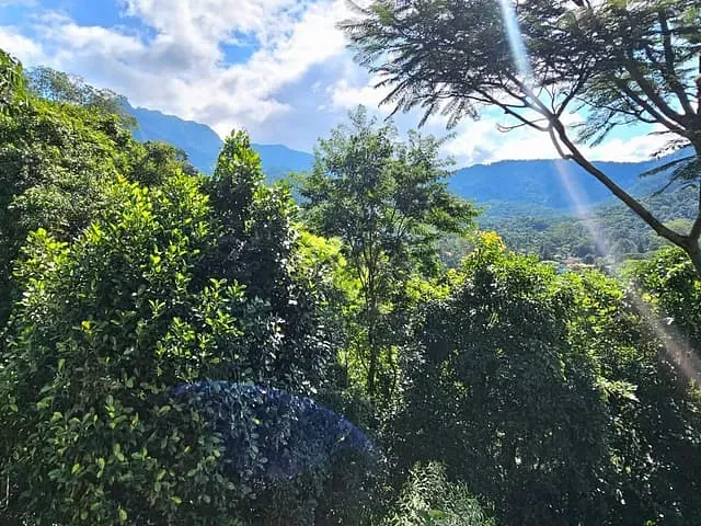 Casa com 150m² 2 quartos e 3 banheiros, à venda, no bairro Penedo em Itatiaia