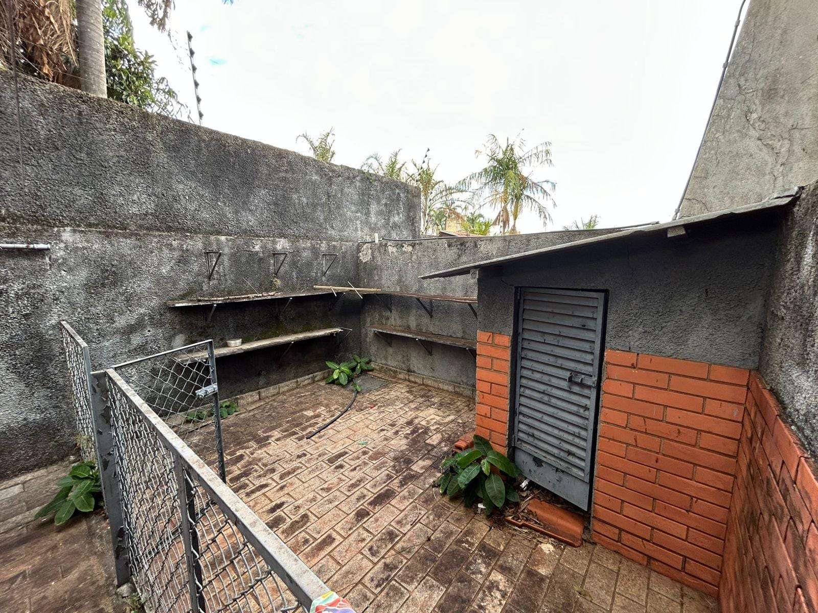 Casa, 3 quartos, 600 m² - Foto 60