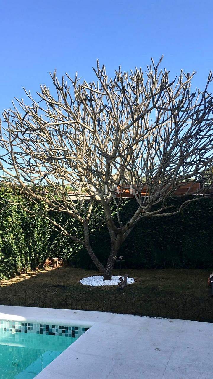 Casa, 3 quartos, 265 m² - Foto 6