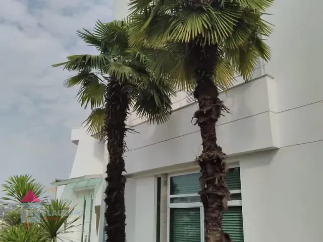 Casa com 1297m² 6 quartos e 3 banheiros, à venda, no bairro Alphaville em Barueri