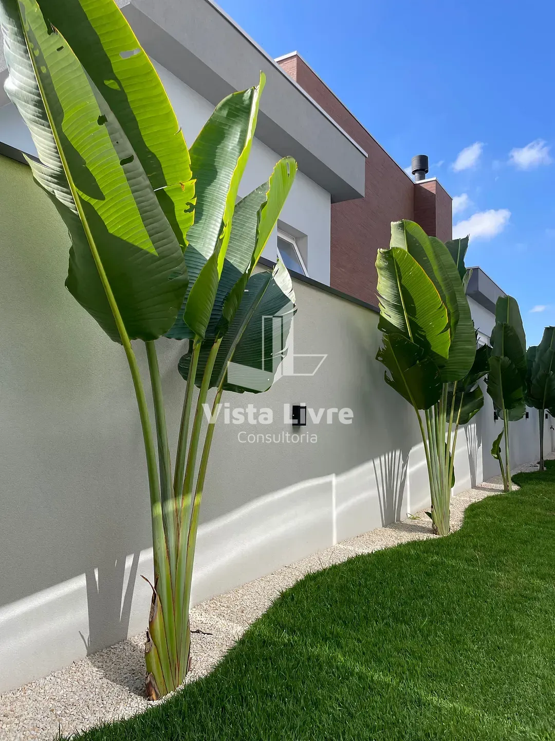 Casa, 4 quartos, 566 m² - Foto 27