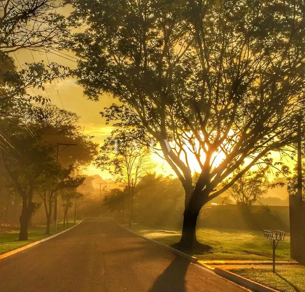 Chácara, 2 quartos, 5000 m² - Foto 11