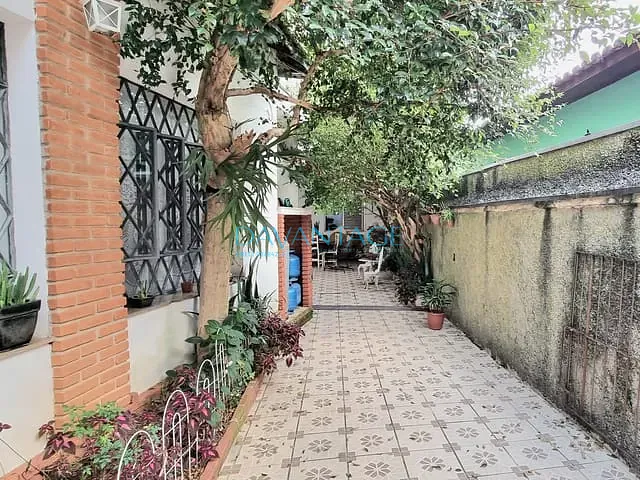 Casa com 355m² 3 quartos e 4 banheiros, à venda, no bairro Alto da Lapa em São Paulo