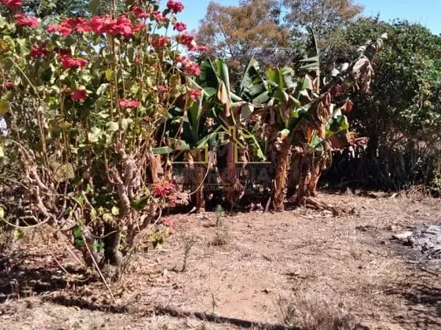 Casa com 567m², à venda, no bairro Vila Coragem em Guaxupé