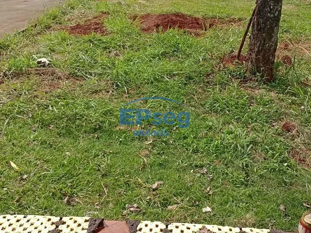 Casa com 250m² 2 quartos e 1 banheiro, à venda, no bairro Colinas em Londrina