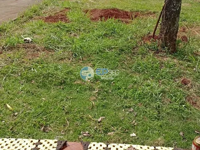 Casa com 250m² 2 quartos e 1 banheiro, à venda, no bairro Colinas em Londrina