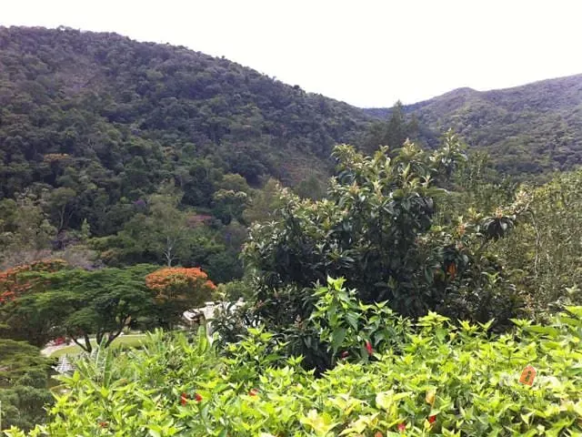 Casa com 2500m² 4 quartos e 2 banheiros, à venda, no bairro Itaipava em Petrópolis