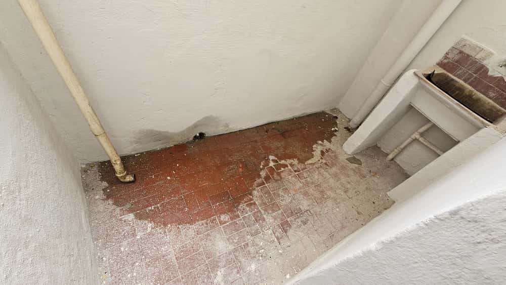 Casa para locação, Centro, Rio Pomba, MG - foto 15