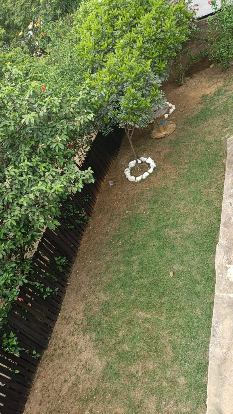 Casa à venda, Prefeito Geraldo H. Faria, Rio Pomba, MG - foto 17