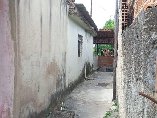 Casa 3 quartos e 1 banheiro, à venda, no bairro Paulo VI em Belo Horizonte