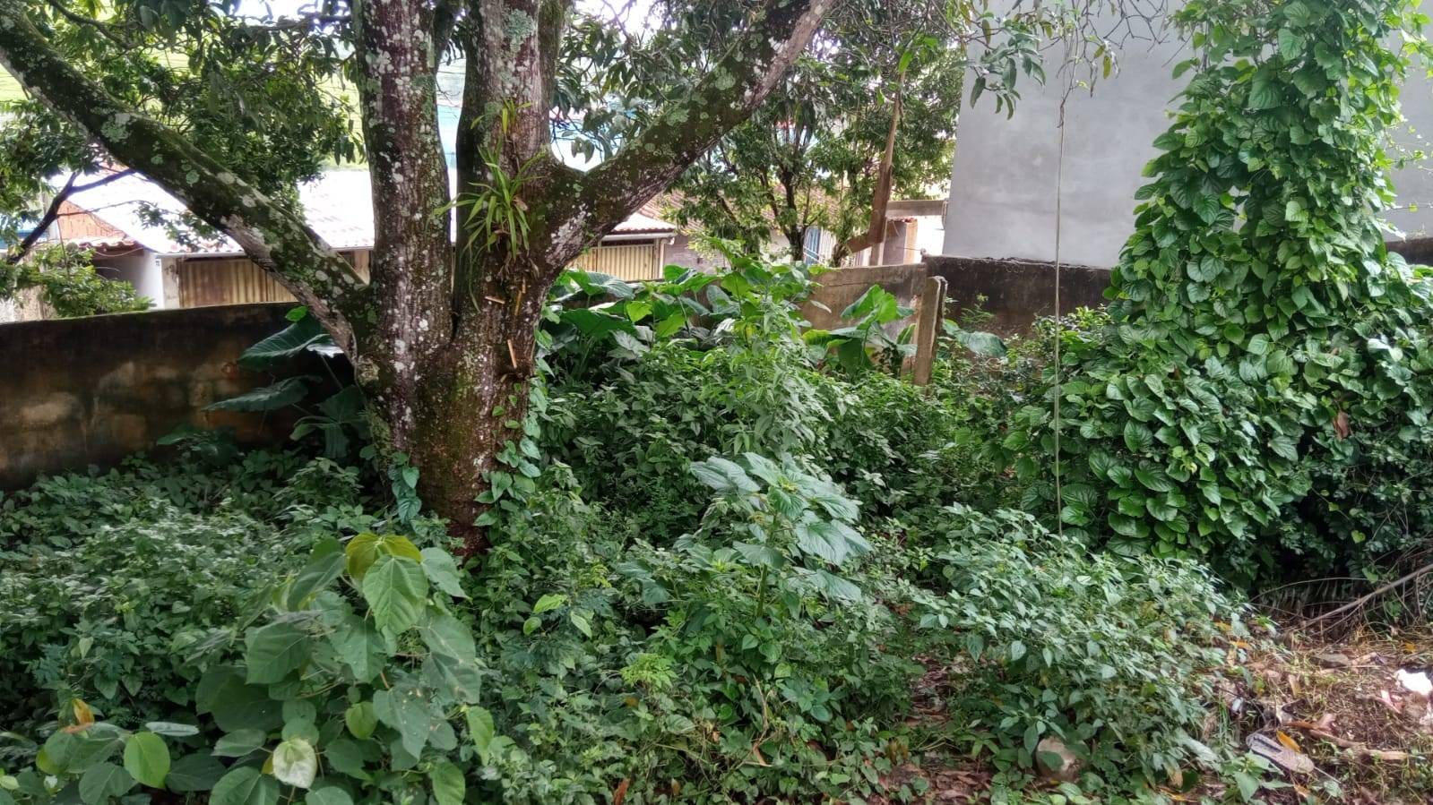 Casa à venda, Jardim América, Rio Pomba, MG - foto 13