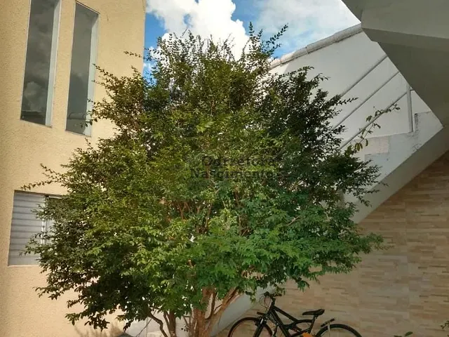 Casa com 250m² 3 quartos e 3 banheiros, à venda, no bairro Jardim Jacinto em Jacareí