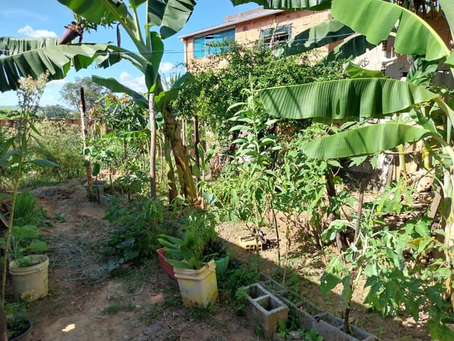 Casa 5 quartos e 3 banheiros, à venda, no bairro Jardim Daliana em Vespasiano