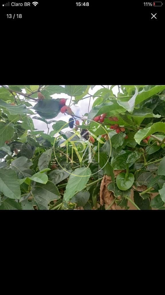 Casa, 3 quartos, 119 m² - Foto 12