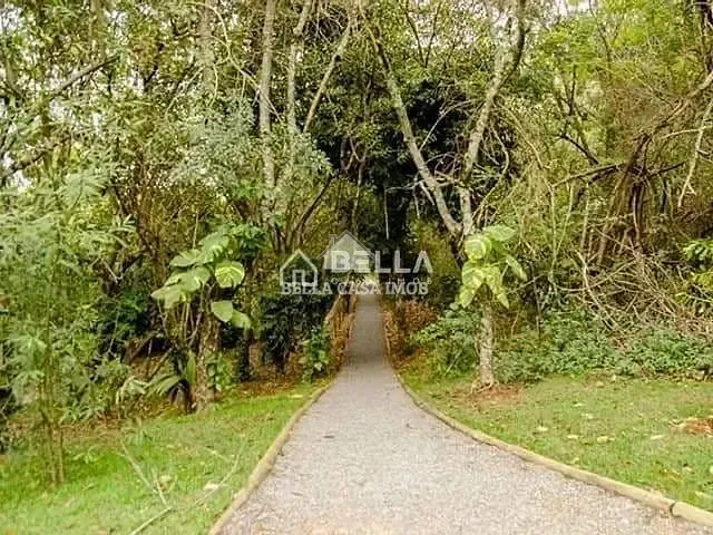Casa, 5 quartos, 380 m² - Foto 38