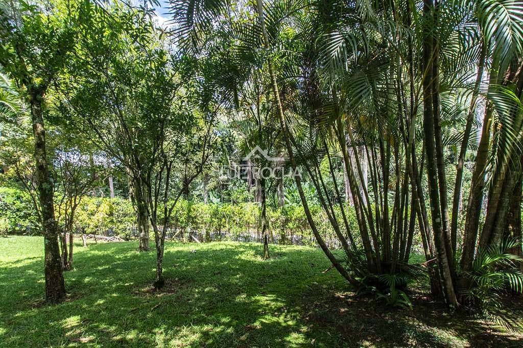 Casa, 3 quartos, 456 m² - Foto 71