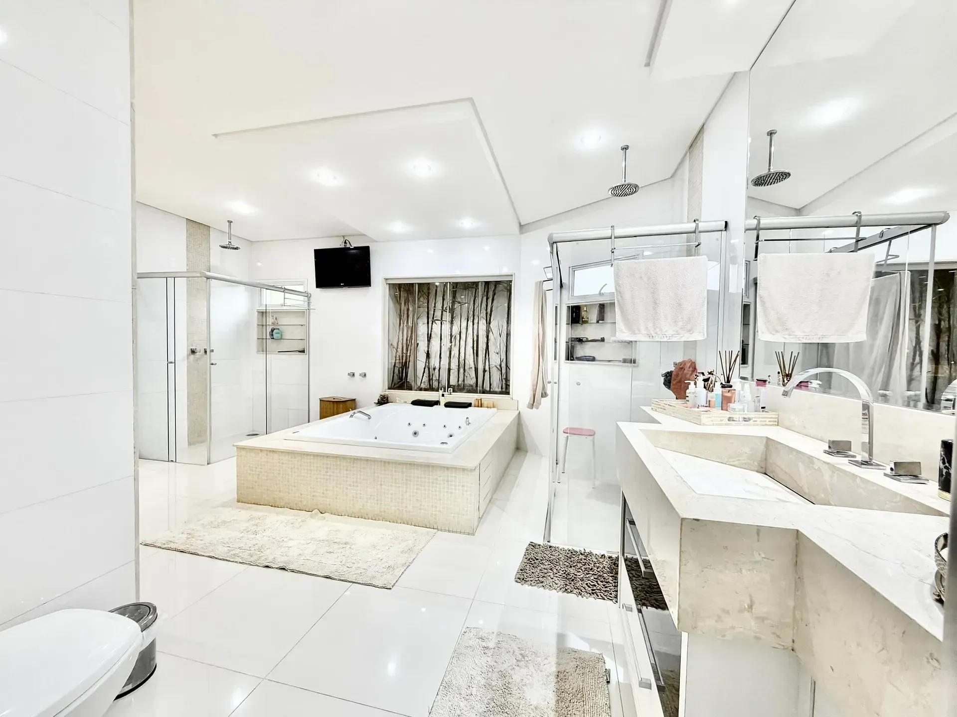 Casa, 4 quartos, 455 m² - Foto 28