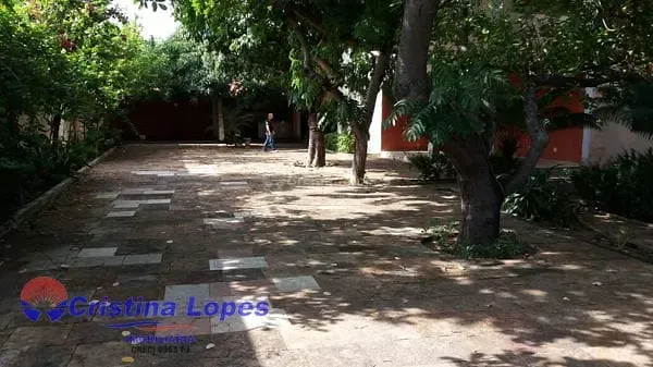 Casa, 3 quartos, 500 m² - Foto 2