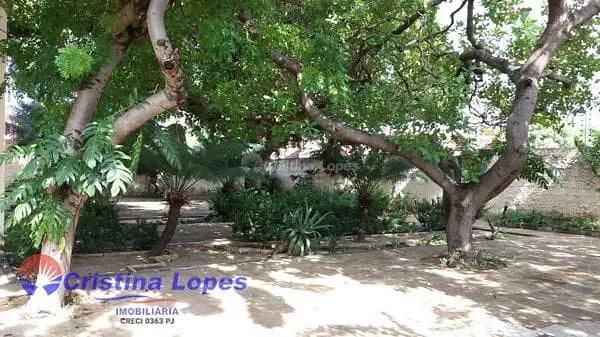 Casa, 3 quartos, 500 m² - Foto 9