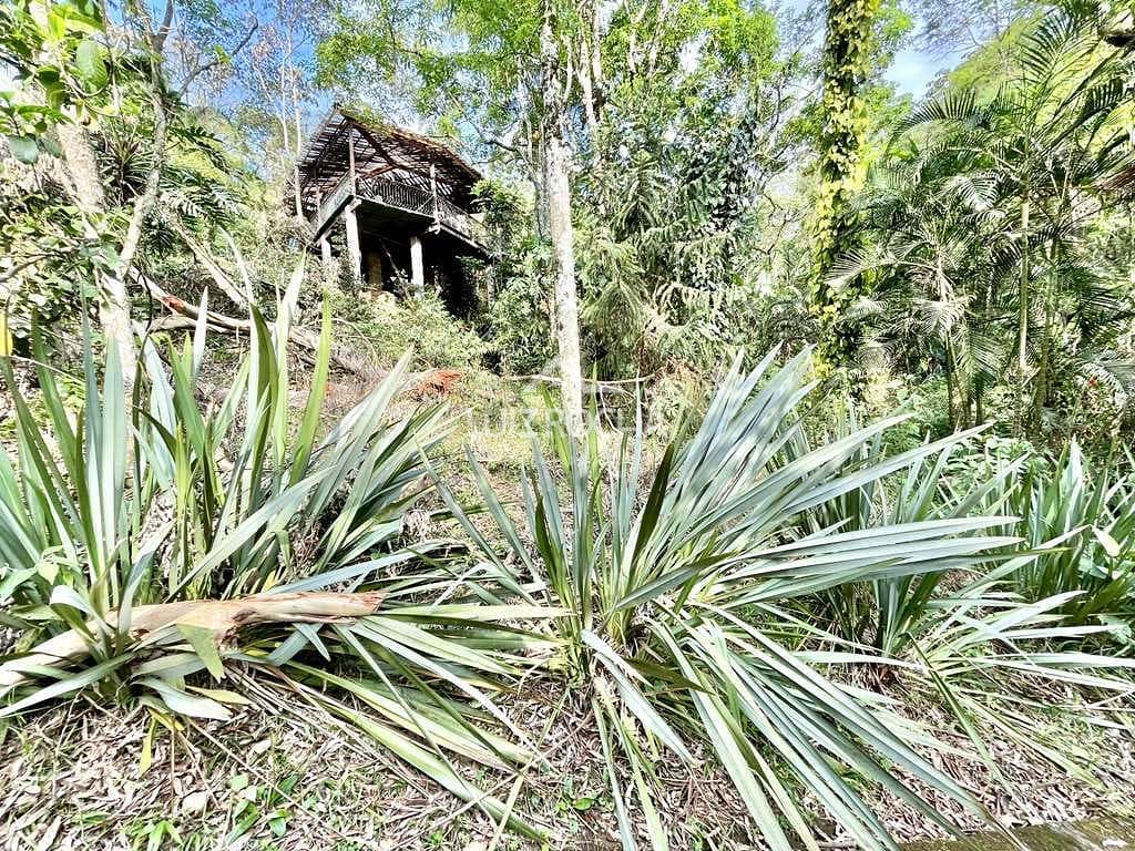 Casa à venda com 3 quartos, 440m² - Foto 45