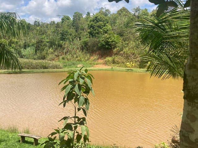 Foto do Terreno - Terreno de 784m no Alphaville Pernambuco 1 - PE
| Tânia Macêdo Imóveis
