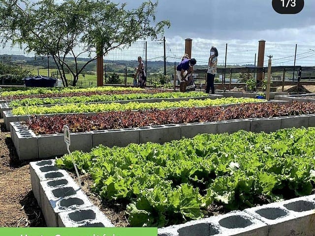 Foto do Terreno - Terreno de 784m no Alphaville Pernambuco 1 - PE
| Tânia Macêdo Imóveis
