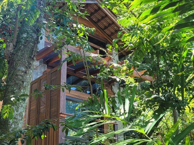 Foto do Casa - DIÁRIAS- Casa Arborizada, Conexão Total com a Natureza no Morro das Pedras em  Florianópolis - Disponível para locação de diárias | Costão Sul Imóveis