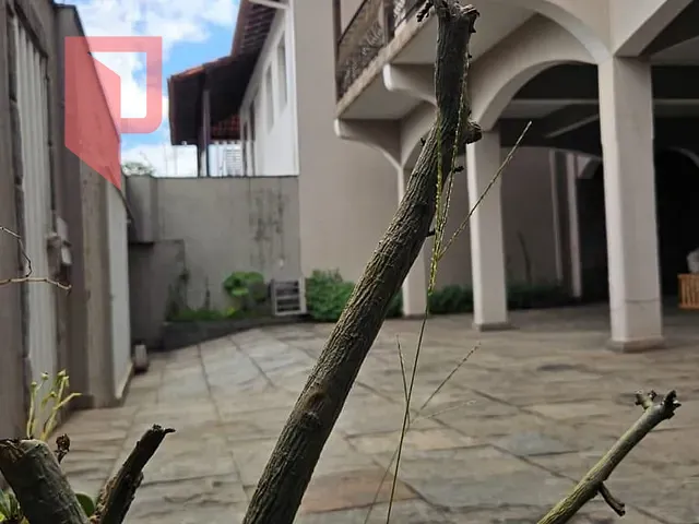 Casa 5 quartos e 5 banheiros, à venda, no bairro Caiçaras em Belo Horizonte