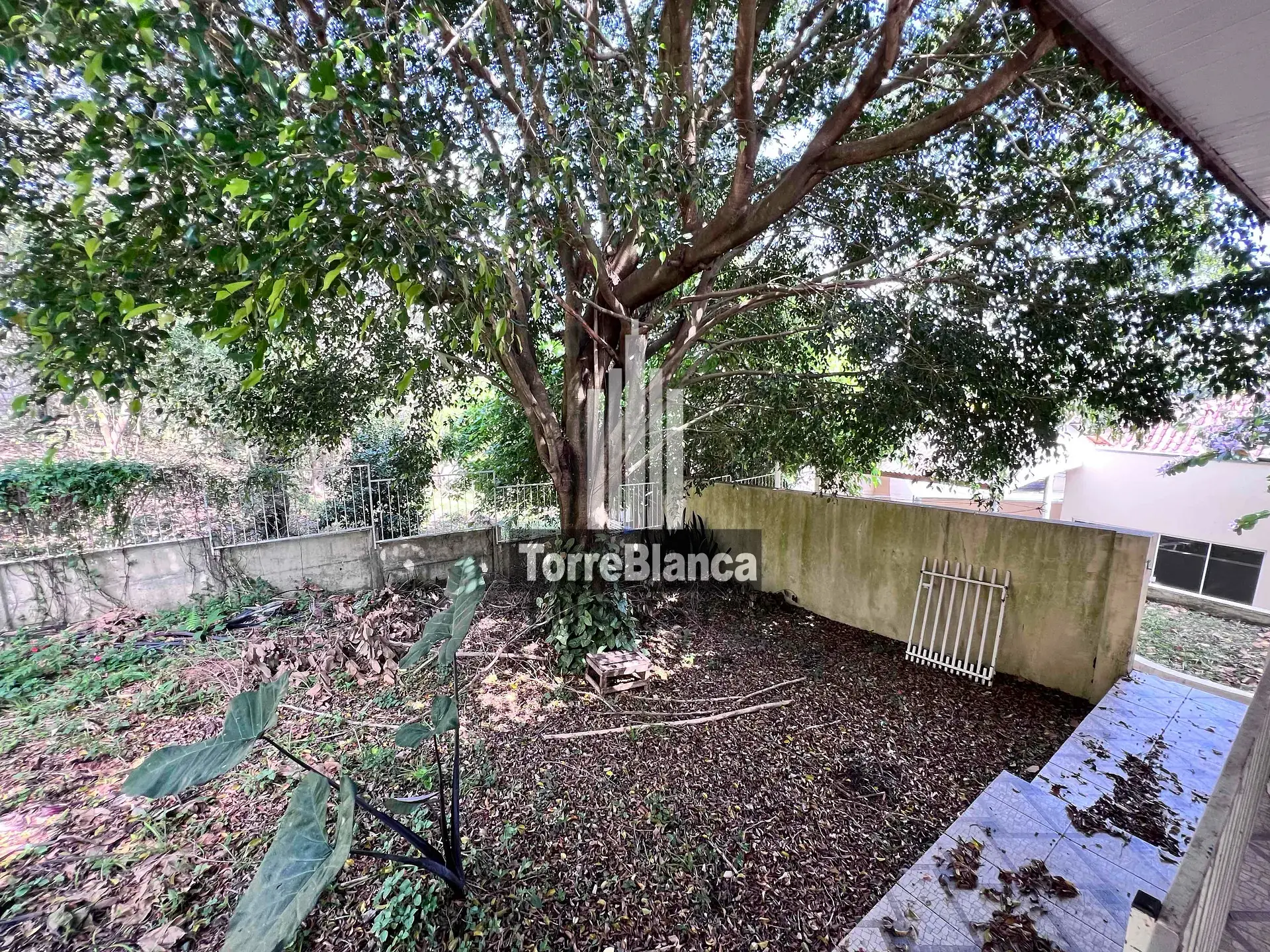 Casa, 3 quartos, 200 m² - Foto 33