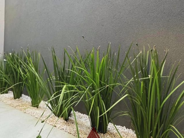 Casa com 132m² 3 quartos e 2 banheiros, à venda, no bairro Centro em Franca