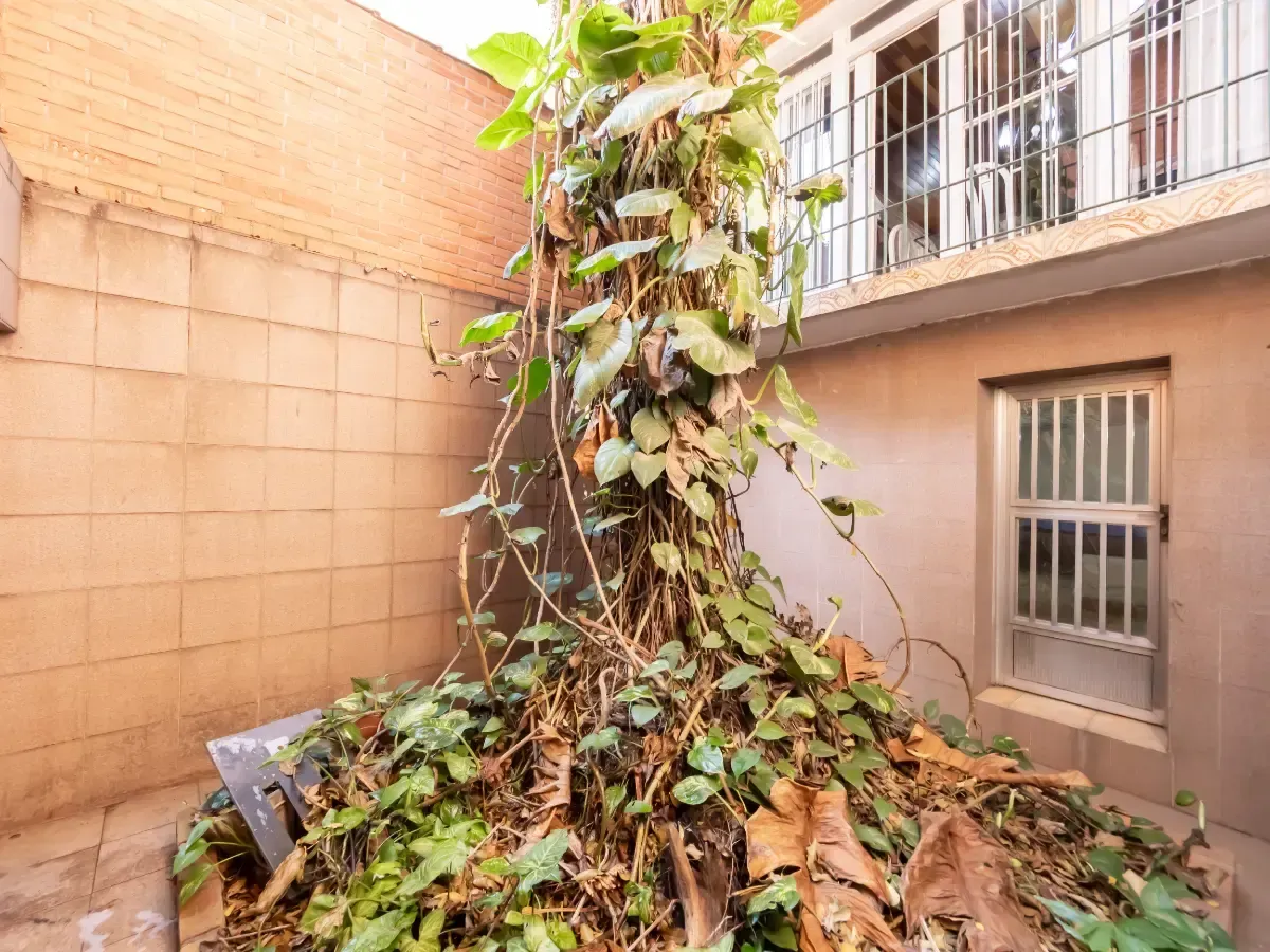 Casa à venda com 4 quartos, 350m² - Foto 46