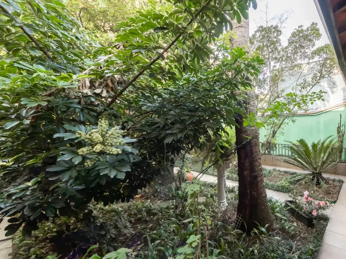 Casa à venda com 4 quartos, 350m² - Foto 45
